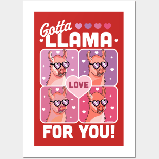 Gotta Llama Love For You Valentine's Day Llama Alpaca Funny Posters and Art